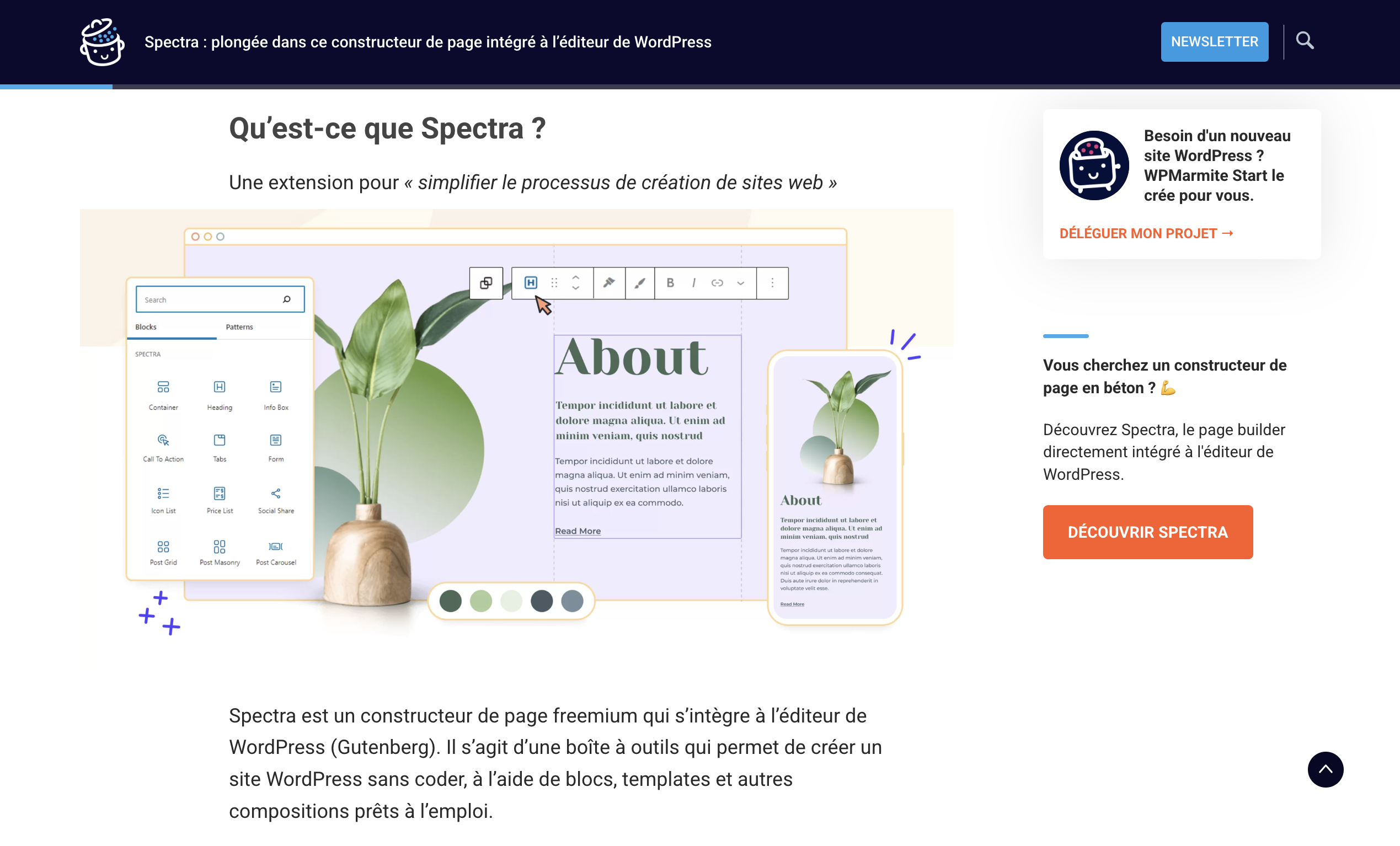 article de wpmarmite.com sur l'éditeur de blocs Spectra